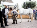 Undicesima Edizione della Sagra Maistus et Maistas - Donori - 21 Giugno 2014 - ParteollaClick