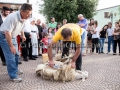 Undicesima Edizione della Sagra Maistus et Maistas - Donori - 21 Giugno 2014 - ParteollaClick