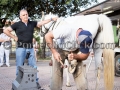 Undicesima Edizione della Sagra Maistus et Maistas - Donori - 21 Giugno 2014 - ParteollaClick