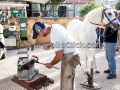 Undicesima Edizione della Sagra Maistus et Maistas - Donori - 21 Giugno 2014 - ParteollaClick