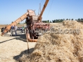 Sagra della Mietitura 2014 - Dolianova - 28 Giugno 2014 - ParteollaClick