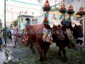 Festeggiamenti del Santo Patrono San Pietro Apostolo 2014 - 5 e 7 Settembre 2014 - ParteollaClick