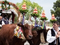 359ª Festa di Sant'Efisio - Sardegna, Cagliari - Maggio 2015 - ParteolalClick