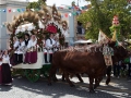 359ª Festa di Sant'Efisio - Sardegna, Cagliari - Maggio 2015 - ParteolalClick