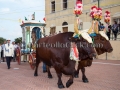 Festa San Giovanni Battista - Settimo San Pietro - 24 e 25 Giugno 2015 - ParteollaClick