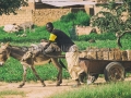 I Sorrisi di Ouagadougou, la Sardegna abbraccia l'Africa - Burkina Faso - Settembre 2015 - ParteollaClick