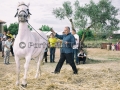 Tredicesima Edizione Maistus et Maistas - Donori - 18 Giugno 2016 - ParteollaClick