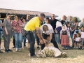 Tredicesima Edizione Maistus et Maistas - Donori - 18 Giugno 2016 - ParteollaClick