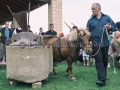 Tredicesima Edizione Maistus et Maistas - Donori - 18 Giugno 2016 - ParteollaClick