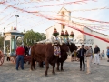 San Pietro Apostolo - Settimo San Pietro - 4 Settembre 2016 - ParteollaClick