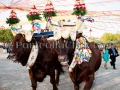 San Pietro Apostolo - Settimo San Pietro - 4 Settembre 2016 - ParteollaClick