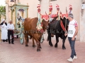 Festa di Santa Maria di Sibiola e San Raffaele Arcangelo 2016 - Serdiana - 7 e 8 Settembre 2016 - ParteollaClick