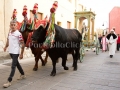 Festa di Santa Maria di Sibiola e San Raffaele Arcangelo 2016 - Serdiana - 7 e 8 Settembre 2016 - ParteollaClick