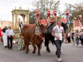 Festa di Santa Maria di Sibiola e San Raffaele Arcangelo 2016 - Serdiana - 7 e 8 Settembre 2016 - ParteollaClick