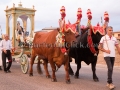 Festa di Santa Maria di Sibiola e San Raffaele Arcangelo 2016 - Serdiana - 7 e 8 Settembre 2016 - ParteollaClick