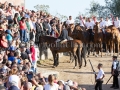 S'Ardia de Santu Antinu - Sedilo 6 e 7 Luglio 2017 - ParteollaClick