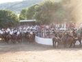 S'Ardia de Santu Antinu - Sedilo 6 e 7 Luglio 2017 - ParteollaClick