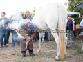 Quindicesima edizione Maistus et Maistas - Donori - 16 Giugno 2018 - ParteollaClick