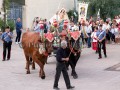 Nostra Signora della Difesa 2019 - Donori - Dall'11 al 22 Settmbre 2019 - ParteollaClick