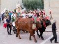 Nostra Signora della Difesa 2019 - Donori - Dall'11 al 22 Settmbre 2019 - ParteollaClick