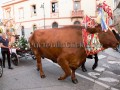 Nostra Signora della Difesa 2019 - Donori - Dall'11 al 22 Settmbre 2019 - ParteollaClick