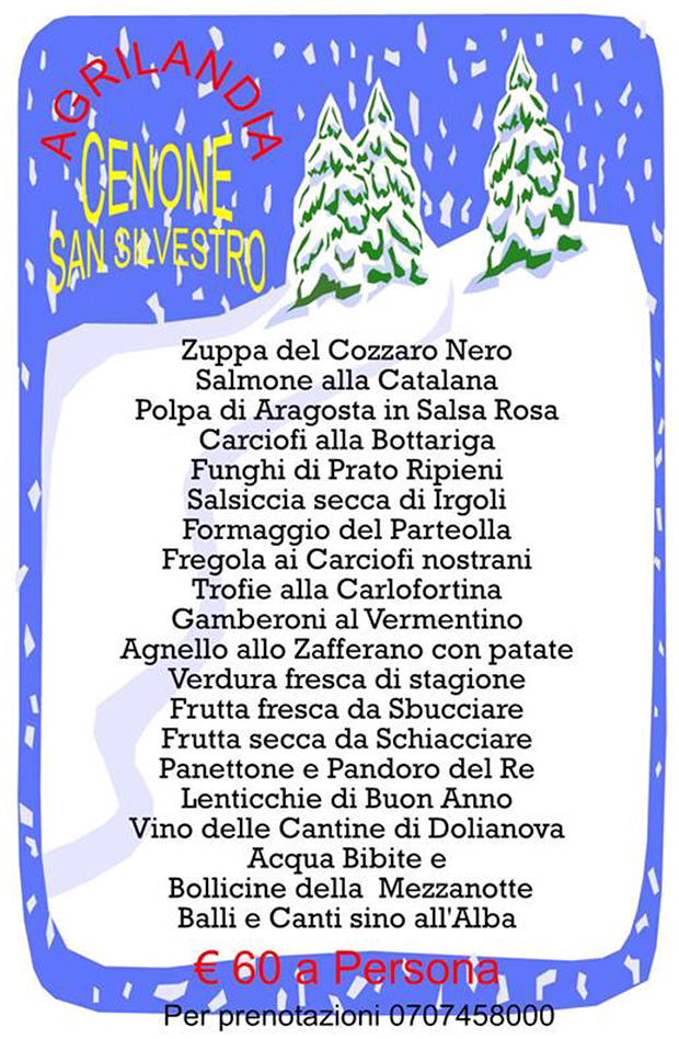 Capodanno 2014 all'Agrilandia - Dolianova - 31 Dicembre 2013 - ParteollaClick