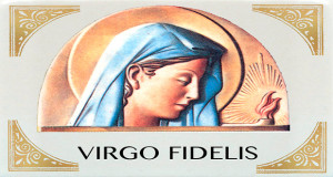 Banner Festa della Virgo Fidelis 2015, Patrona dell'Arma dei Carabinieri - Dolianova - 21 Novembre 2015 - ParteollaClick