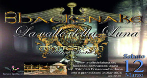 Banner Blacksnake Tribute Band Whitesnake - Valle della Luna Serdiana - 12 Marzo 2016 - ParteollaClick