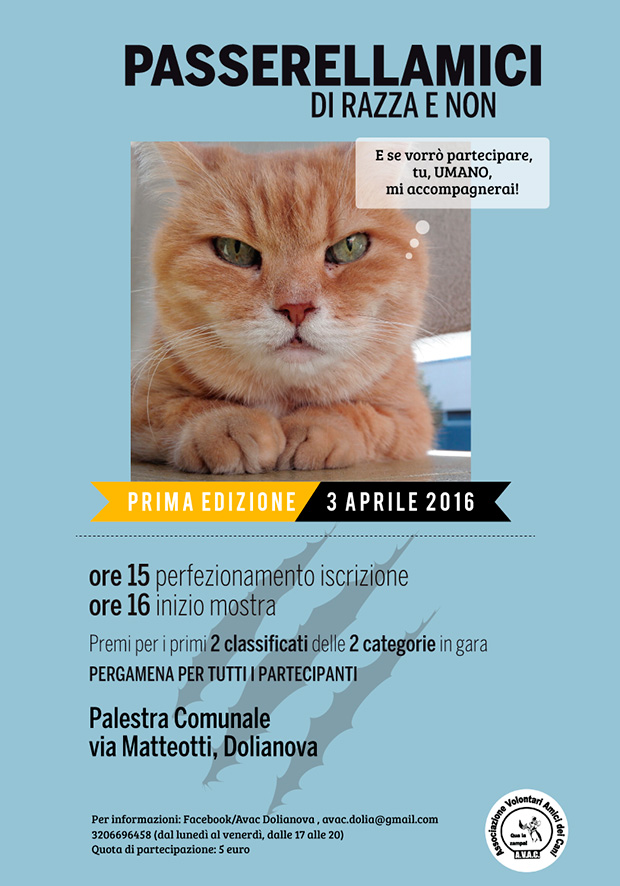 1ª edizione della mostra felina amatoriale Passerellamici di razza e non - Dolianova - 3 Aprile 2016 - ParteollaClick