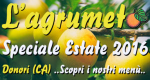 Banner Estate 2016 all'Agriturismo L'Agrumeto - Donori - dal 21 Giugno al 23 Settembre 2016 - ParteollaClick