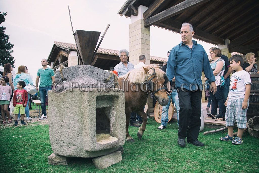 050 Tredicesima Edizione Maistus et Maistas - Donori - 18 Giugno 2016 - ParteollaClick