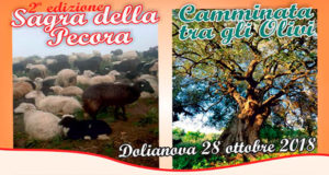 Banner 2ª Sagra della Pecora e Camminata tra gli Olivi - Dolianova - Domenica 28 Ottobre 2018 - ParteollaClick