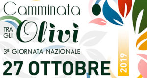 Banner Camminata tra gli Olivi - Dolianova - 26 Ottobre 2019 - ParteollaClick