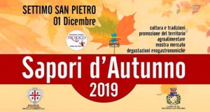 Banner Sapori d'Autunno 2019 - Settimo San Pietro - Domenica 1 Dicembre 2019 - ParteollaClick